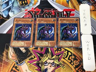 Panther Warrior 2nd period ver 3 normal, set of 3 Tera