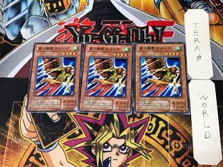 風の精霊 ガルーダ 2期ver 3 ノーマル 3枚セット てら