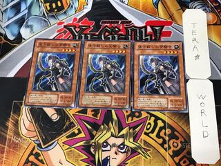 味方殺しの女騎士 2期ver 1 ノーマル 3枚セット てら