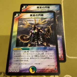 Golden Circle Shield U 32/55/Y6