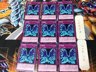 Phantom Knights' Wing 5 Normal, set of 9 Tera.