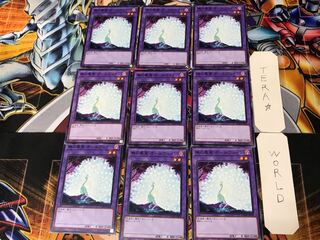 Allvain the Essence of Vanity 4 Normal 9-card set Terra