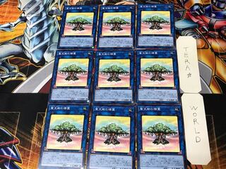 Sunavalon Dryades 1 Normal, set of 9 Tera.