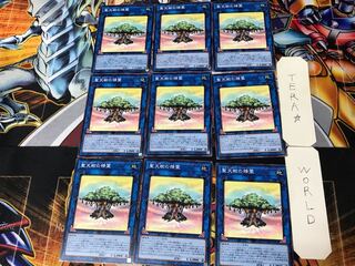 Sunavalon Dryades 4 Normal, set of 9 Tera.