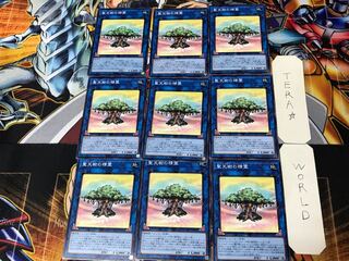 Sunavalon Dryades 5 Normal Set of 9 Tera