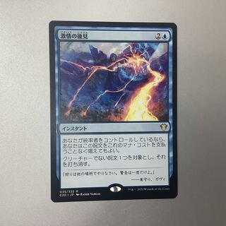 (Slight flaw) Fierce Guardianship C20 (1)