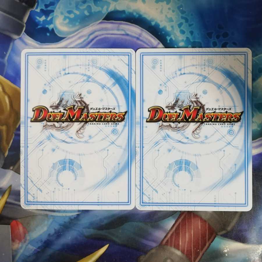 ポクタマたま 2枚