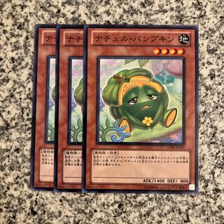 Naturia Pumpkin Normal JP031