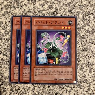 Puppet Plant Normal JP022