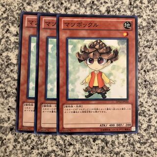 Pinecono Normal JP010