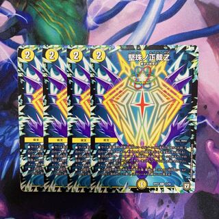 e202 kenju no seisaku Z R 13/94