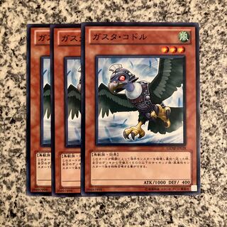 Gusto Codor Normal JP028