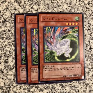 Wind Effigy Normal JP041