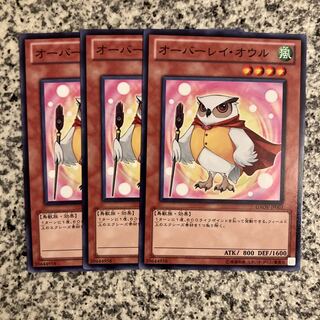 Overlay Owl Normal JP003