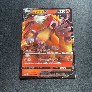 PK-S12a-019 EnteiV RR