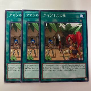 8163 アマゾネスの里 ノーマル JP014