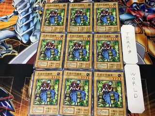 Protector of the Throne 3 Early Normal 9-card set Tera