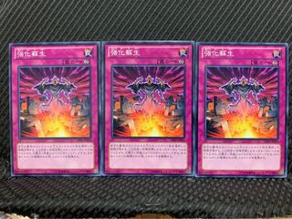 【ぽぽたん】遊戯王 6275 強化蘇生 3枚 ノーマル