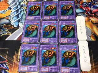 レア・フィッシュ 2 初期 ノーマル 9枚セット てら