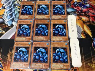 アメーバ 2期ver 3 ノーマル 9枚セット てら