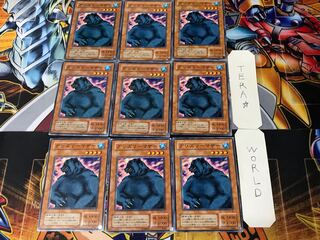 Mother Grizzly 2nd period ver 3 Normal 9-card set Terra