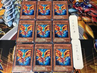 Fushi No Tori 2nd season ver 1 Normal, set of 9 Tera