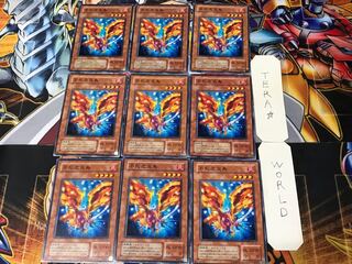 Fushi No Tori 2nd season ver 2 Normal 9 pieces Tera