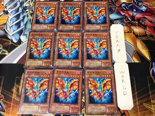 Fushi No Tori 2nd period ver 3 Normal 9 pieces Tera