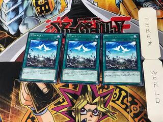 RR-Nest 5 Rare, set of 3 Tera.