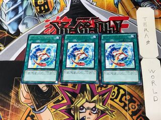 Xyz Gift 2 Rare Set of 3 Tera