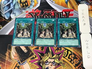 Snake Rain 1 rare, set of 3 Tera.