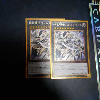 2 copies of the divine dragon knight Felgrund Gorshik. 2枚