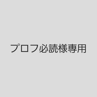 プロフ必読様専用