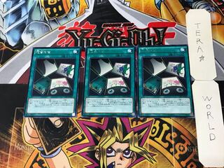 Flower Gathering 5 rare, set of 3 Tera