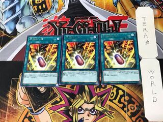 Double Evolution Pill 4 rare, set of 3 Tera.