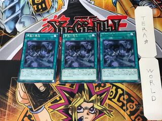 Tenacity of the Monarchs 4 rare, set of 3 Tera.