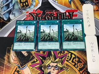 Dragon Shrine 5 Rare, set of 3 Tera.