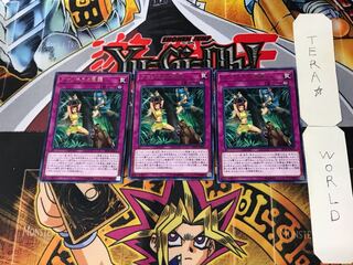 Amazoness Onslaught 1 Rare Set of 3 Tera.