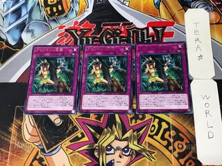 Amazoness Onslaught 4 Rare Set of 3 Tera.