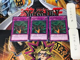 Gravity Collapse 4 Rare, set of 3 Tera.