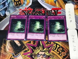 量子猫 4 レア 3枚セット てら