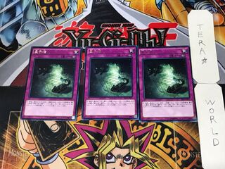 量子猫 5 レア 3枚セット てら