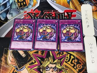 Jar of Avarice 5 rare, set of 3 Tera.