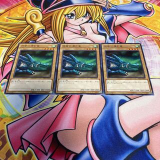 洞窟に潜む竜 ノーマル JPD03