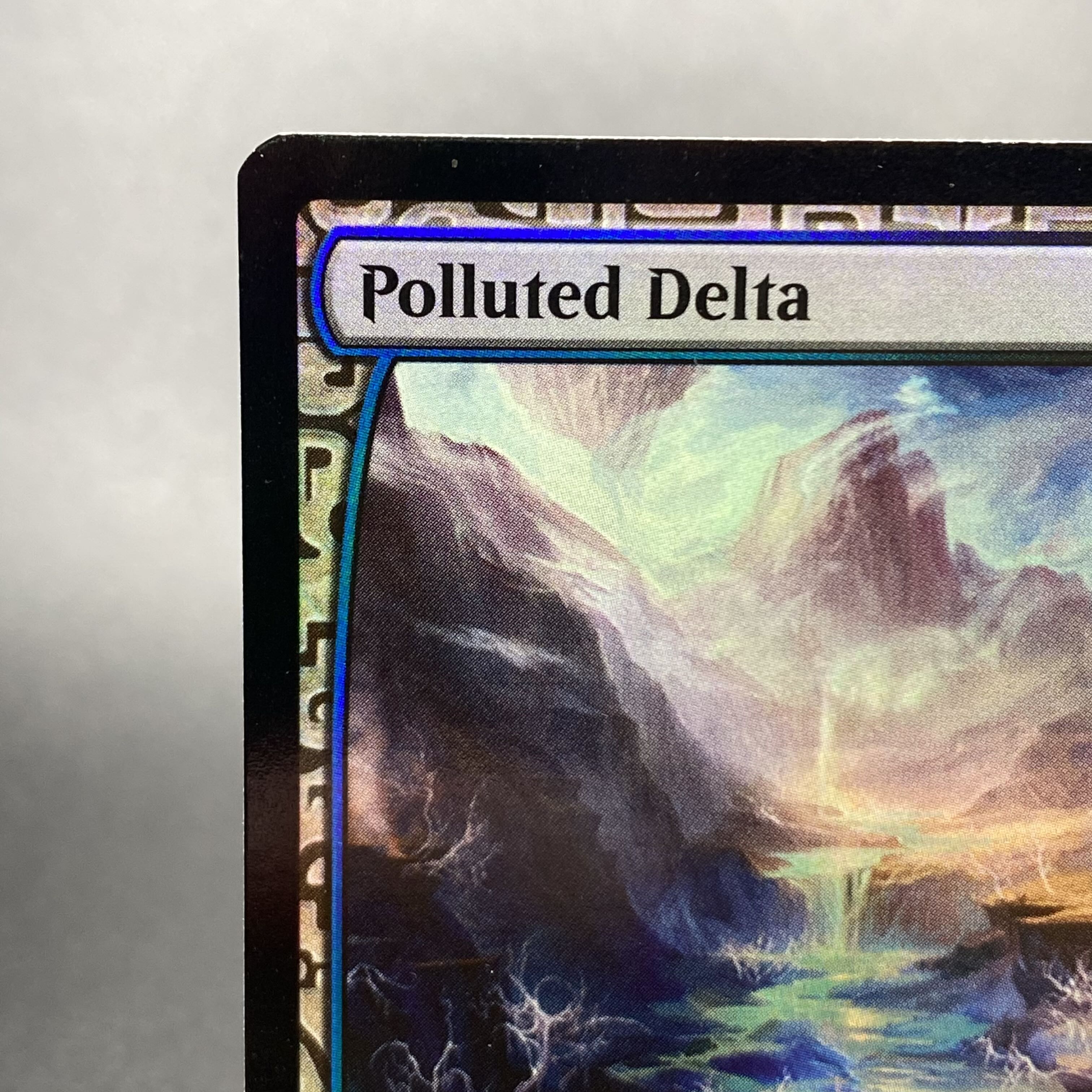 Polluted Delta/Polluted Delta EXP