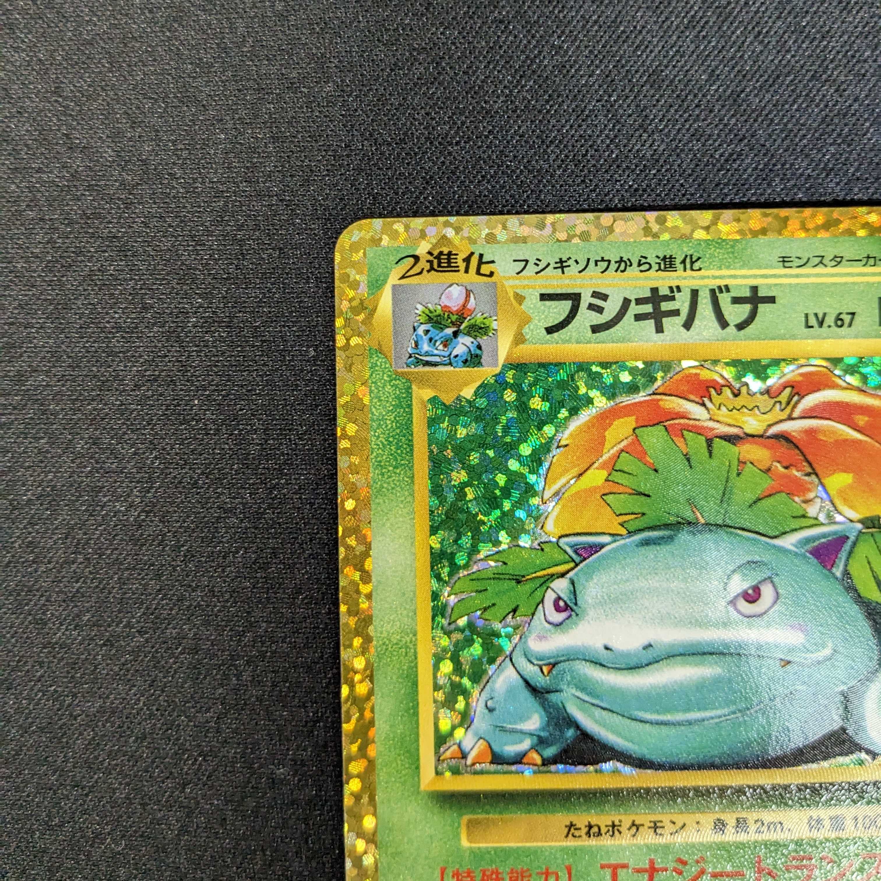 25th Anniversary Anniversary Promo 1 Blastoise 2 Venusaur Total set of 3 25th