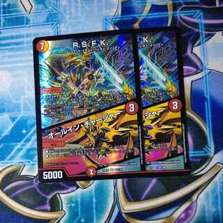 R.S.F.K.｜All-in charger VR 30/130, set of 2