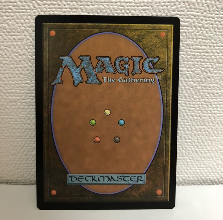 蒼飛龍様専用　タッサの神託者　拡張アート