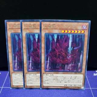 Tenmei Ryu - Vishda Rare 3-card set