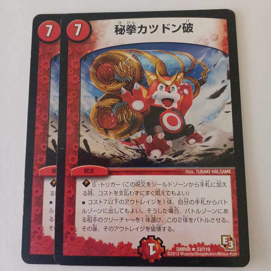 Secret Fist Katsudon-breaking R 33/110